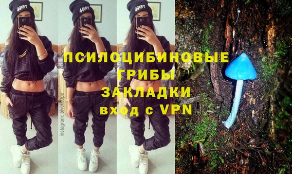 метадон Валдай