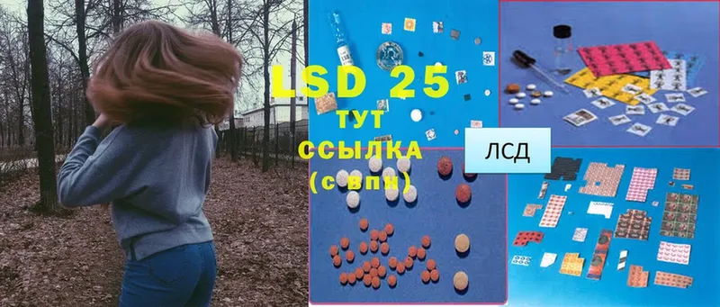 LSD-25 экстази ecstasy  закладка  Котельнич 