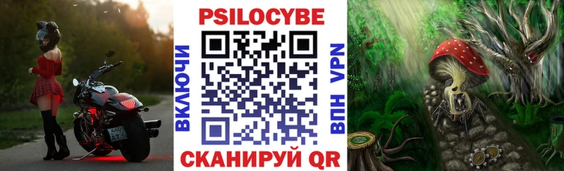 Галлюциногенные грибы ЛСД  Котельнич 