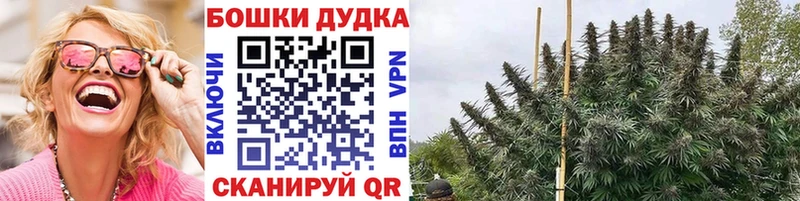 как найти наркотики Котельнич МАРИХУАНА VHQ